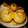Aichkausik's cooksnap of when they made ফুচকা রেসিপি (Fuchka/Panipuri recipe in Bengali).