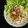 Cooksnap của SeleneJang 🌙 khi họ làm theo món Mỳ udon xào thịt gà