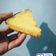 Cooksnap dari indahpuspita untuk resep Pie Susu Teflon Takaran Sendok