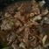 Cooksnap dari Tri Ika Bayu untuk resep Tongseng kambing goreng