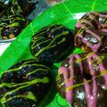 Cooksnap dari Mandeh LuLa 😆😆 untuk resep Donat (tanpa kentang tanpa ulen)