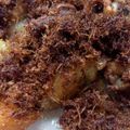 Cooksnap dari Dara Novia untuk resep Ayam Goreng Rempah Tabur Lengkuas / Laos #Dandelion