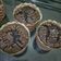 Cooksnap dari Jennifer Steffany untuk resep Cupcake Brownis panggang