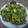 Jasmin Motta _ #BeingMotta's cooksnap of when they made Surti undhiyu.