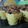 Cooksnap dari Ursula untuk resep Banana Muffin, no mixer, resep by Tintin Rayner