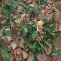 Mary Hofstein's cooksnap of when they made Ground Beef Kheema.