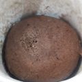 El cooksnap de Mariana cuando hizo Torta en taza para microondas-SIN HUEVO.