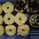 Cooksnap dari Serodja Lestari untuk resep KETO Donut / Donat Keto