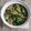 Cooksnap dari Little Gwen's untuk resep Tumis Brokoli + Jamur Kancing Saus Tiram