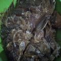 Cooksnap dari Siti Nu untuk resep Gurame asam manis #day1