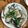 Angeltina 的 清蒸 石斑魚 cooksnap