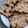 El cooksnap de Rafricana cuando hizo Galletas de avena saludables.