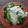 El cooksnap de Auro maidana cuando hizo Fideos con brócoli, fácil y súper rápido. Apto vegetarianos.