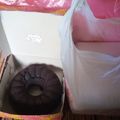 Cooksnap dari ummi sabrina untuk resep Brownies kukus 3 telur loyang uk 20x20