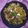 Vibha Mahendra Champaneri's cooksnap of when they made મટકા વેજ દમ બિરયાની (Matka Veg Dum Biryani Recipe In Gujarati).