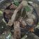 Cooksnap dari Devi Liauw untuk resep Rawon Surabaya
