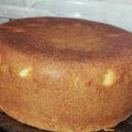 کوک اسنپ cook_1400@ بعد از امتحان کردن کیک وانیلی در (توستر).