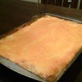 lynnm123's cooksnap of when they made Shepards pie.