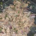 El cooksnap de Monica Riffo cuando hizo Ensalada de jurel a la chilena.