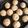El cooksnap de Vane cuando hizo Galletas con chip de chocolate sin manteca esponjosa 🍪🦋👏.