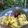Cooksnap dari Noor Khalimah Fitriani untuk resep Mendoan ala Purwokerto
