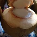Cooksnap của Như Hình khi họ làm theo món Rau câu dừa