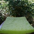 Cooksnap dari Delyla Adjam untuk resep Brownies kukus coklat pandan no ribet
