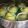 Cooksnap dari Fitryani Yue untuk resep Choux Pastry "Pandan"