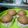 Cooksnap dari setwi eniwati untuk resep Brownies Mekar
