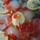 Cooksnap dari inda untuk resep Asinan Rambutan Pedas Manis