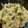 Jasmin Motta _ #BeingMotta's cooksnap of when they made Matar Pulao / Peas Pulao.