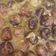 El cooksnap de miriam callau reche cuando hizo Albóndigas en salsa española.