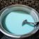 Cooksnap dari Citra Amalia untuk resep SILKY PUDING | Puyo - Puding Loyo