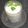 Bina Samir Telivala's cooksnap of when they made Babugosha (Indian Pear 🍐) Lassi.