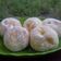 Cooksnap dari najely 100 untuk resep Donat Kentang super lembut