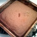 naruhina8's cooksnap of when they made Maggie's Classic Brownie.