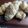 Cooksnap dari dini_da untuk resep Roti Manis isi Keju (1 telur)
