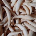 Cooksnap dari retno pujiastuti untuk resep Stik Keju Kriuk