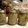 Lena Bottoms's cooksnap of when they made Chow Chow.