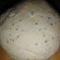 El cooksnap de Agustina Cocina 👩‍🍳 cuando hizo Masa para tarta salada sin gluten.