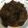 Cooksnap dari Candy untuk resep Semur Daging Sengkel
