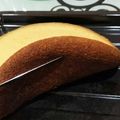 Joycelyn Tan's cooksnap of when they made Cake with Rice Cooker.