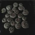 El cooksnap de Jeannette Vivas Bustos cuando hizo Mini pan casero rápido y fácil.