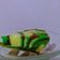 Cooksnap dari Dapur Kanita untuk resep Bolu macan tepung beras kukus (gluten free)