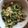 Cooksnap dari Dewayu Sitaresmi untuk resep Urap pakis dengan toge