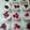 Cooksnap dari Azizah Rayariza untuk resep Puding sus stobery dengan toping buah naga.