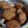 Sudharani // OS KITCHEN's cooksnap of when they made ரவா அப்பம் (Rava Appam Recipe in Tamil).