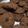 Cooksnap dari Empush Puspita untuk resep Cookies coklat chocochip (tanpa mixer)