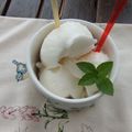 El cooksnap de Cuqui Bastida cuando hizo Helado de melón dulce (Thermomix).