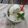 El cooksnap de Cuqui Bastida cuando hizo Helado de melón dulce (Thermomix).
